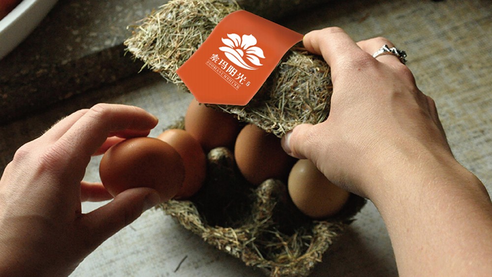 索玛阳光鸡蛋包装设计